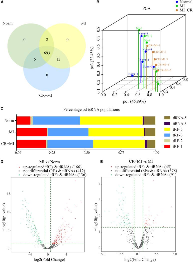 https://cdn.ncbi.nlm.nih.gov/pmc/blobs/3e4b/7670042/cbc0a6625dc6/fcell-08-568116-g003.jpg