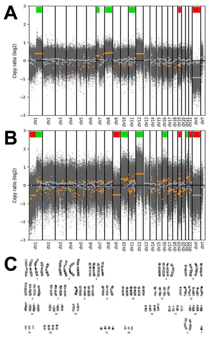 https://cdn.ncbi.nlm.nih.gov/pmc/blobs/3e52/10778008/150a42292d47/cells-13-00081-g006.jpg