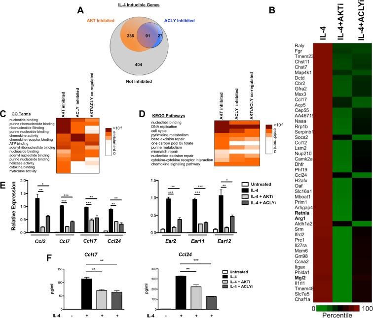 https://cdn.ncbi.nlm.nih.gov/pmc/blobs/3e75/4769166/3b347e0a09ff/elife-11612-fig7.jpg