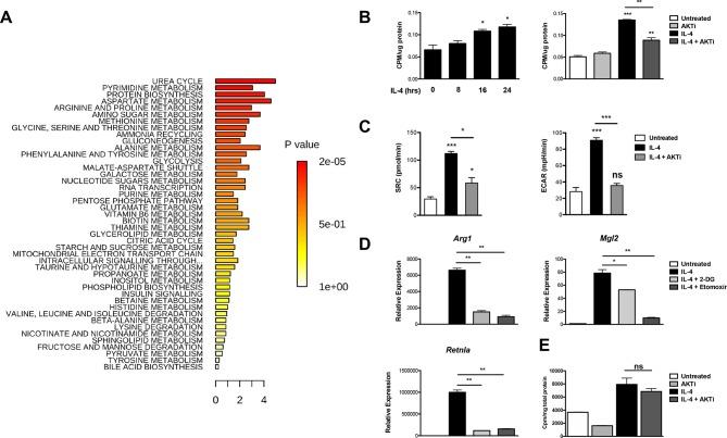 https://cdn.ncbi.nlm.nih.gov/pmc/blobs/3e75/4769166/c547378c26a5/elife-11612-fig1.jpg