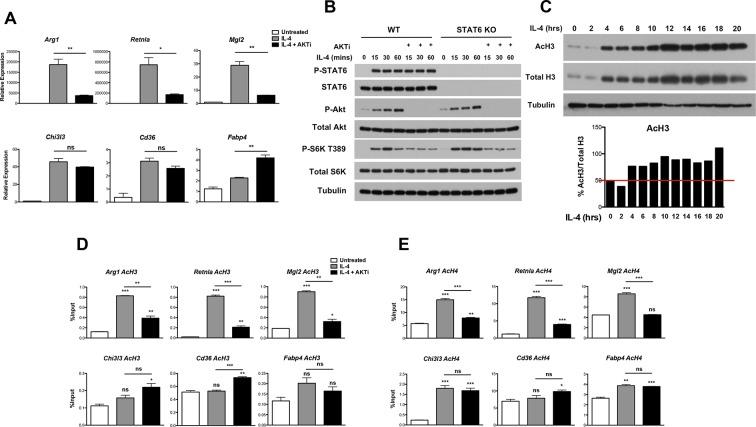 https://cdn.ncbi.nlm.nih.gov/pmc/blobs/3e75/4769166/cee7563ac98a/elife-11612-fig2.jpg