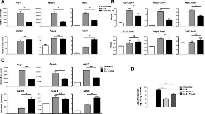 https://cdn.ncbi.nlm.nih.gov/pmc/blobs/3e75/4769166/f60259848b57/elife-11612-fig4.jpg