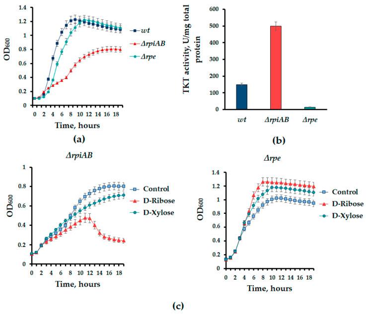 https://cdn.ncbi.nlm.nih.gov/pmc/blobs/3e78/11592462/49113140ed86/cells-13-01915-g005.jpg