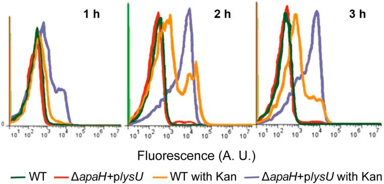 https://cdn.ncbi.nlm.nih.gov/pmc/blobs/3e80/6511005/57f32d842513/pnas.1822026116fig03.jpg