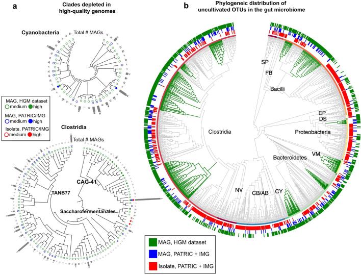 https://cdn.ncbi.nlm.nih.gov/pmc/blobs/3e91/6784871/d41865e29296/41586_2019_1058_Fig12_ESM.jpg