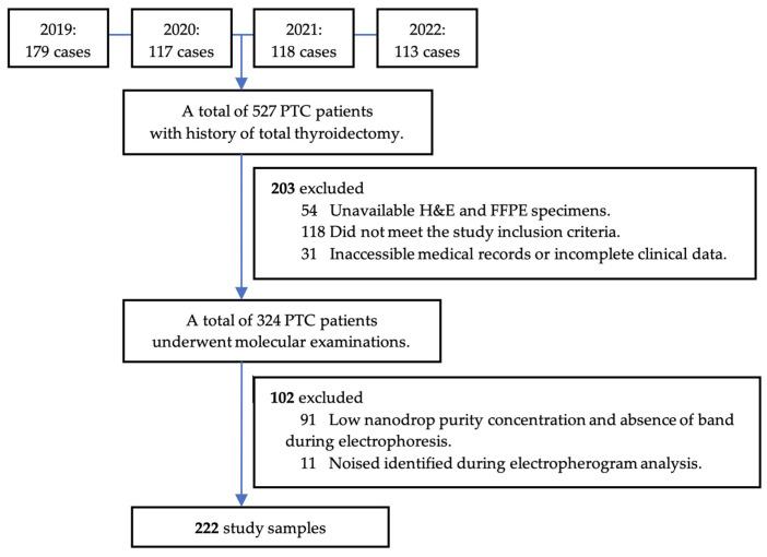 https://cdn.ncbi.nlm.nih.gov/pmc/blobs/3e93/10603905/a3abd01fea34/biomedicines-11-02803-g003.jpg