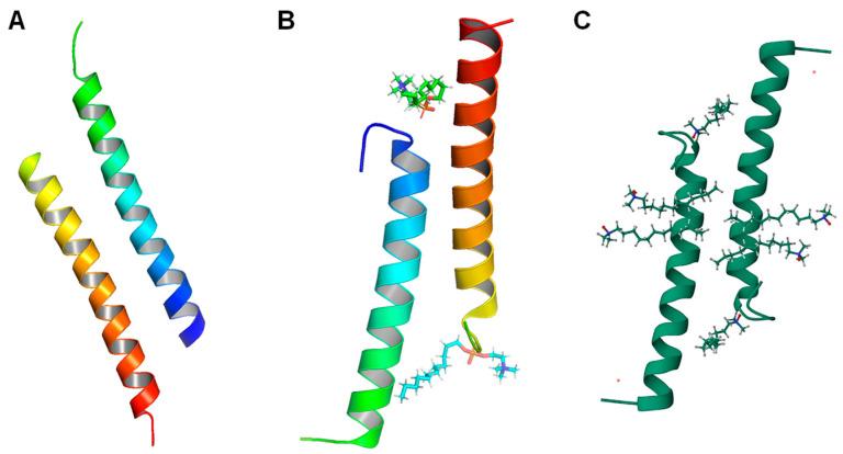 https://cdn.ncbi.nlm.nih.gov/pmc/blobs/3eb4/10968335/59705606cfcd/biomolecules-14-00320-g003.jpg