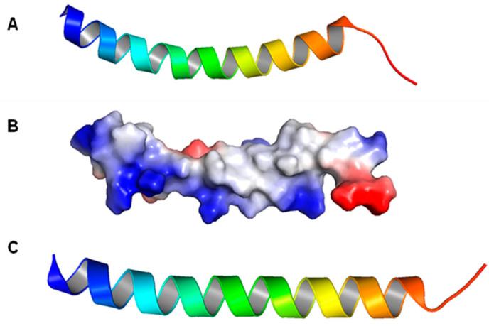 https://cdn.ncbi.nlm.nih.gov/pmc/blobs/3eb4/10968335/a00bf78dcb10/biomolecules-14-00320-g002.jpg
