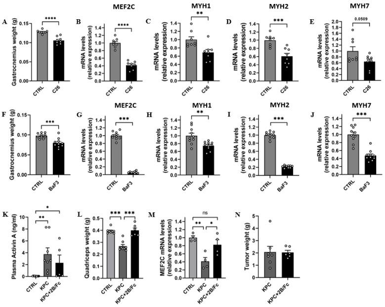 https://cdn.ncbi.nlm.nih.gov/pmc/blobs/3ebc/8997966/094b6cdc7a30/cells-11-01119-g006.jpg