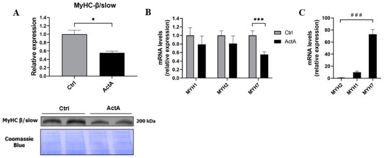 https://cdn.ncbi.nlm.nih.gov/pmc/blobs/3ebc/8997966/122d5cb51685/cells-11-01119-g002.jpg