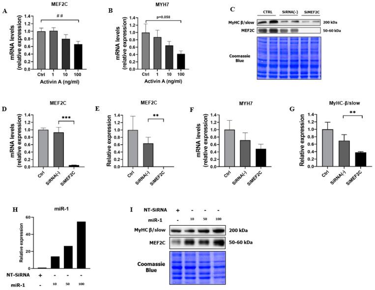 https://cdn.ncbi.nlm.nih.gov/pmc/blobs/3ebc/8997966/5dbdf979efe0/cells-11-01119-g004.jpg