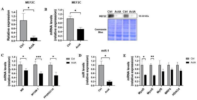 https://cdn.ncbi.nlm.nih.gov/pmc/blobs/3ebc/8997966/7744f97bf79c/cells-11-01119-g003.jpg