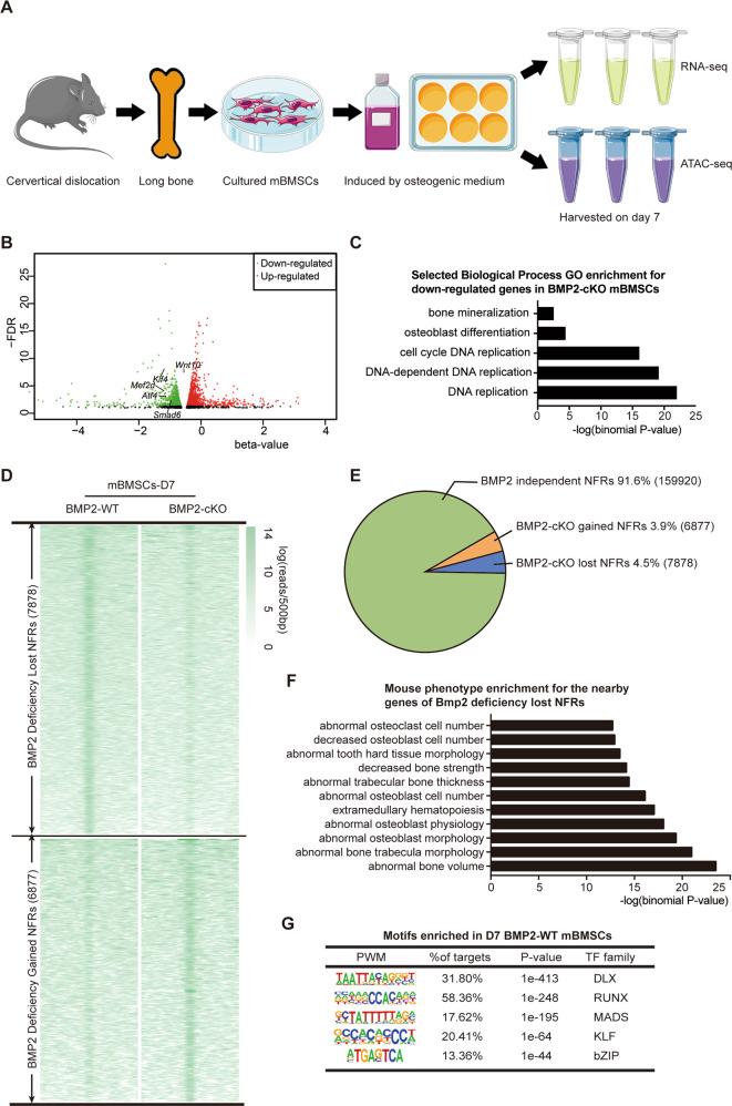 https://cdn.ncbi.nlm.nih.gov/pmc/blobs/3ebd/7895980/c375eb9463ad/41419_2021_3480_Fig2_HTML.jpg