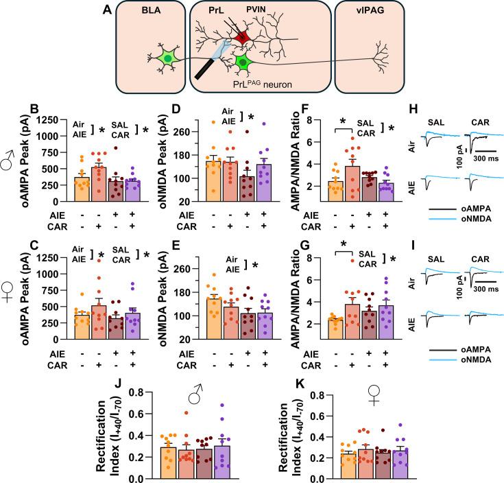 https://cdn.ncbi.nlm.nih.gov/pmc/blobs/3ed9/12061479/0d71e9886b87/elife-101667-fig10.jpg