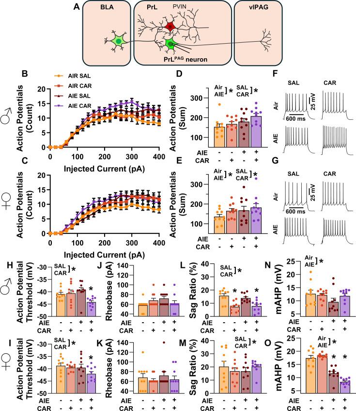 https://cdn.ncbi.nlm.nih.gov/pmc/blobs/3ed9/12061479/5b29c589be10/elife-101667-fig4.jpg