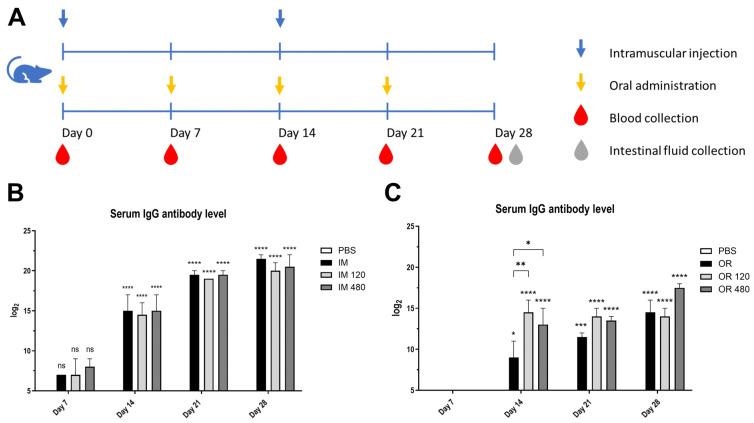 https://cdn.ncbi.nlm.nih.gov/pmc/blobs/3ee3/11860592/17af605a1bd2/vetsci-12-00181-g007.jpg