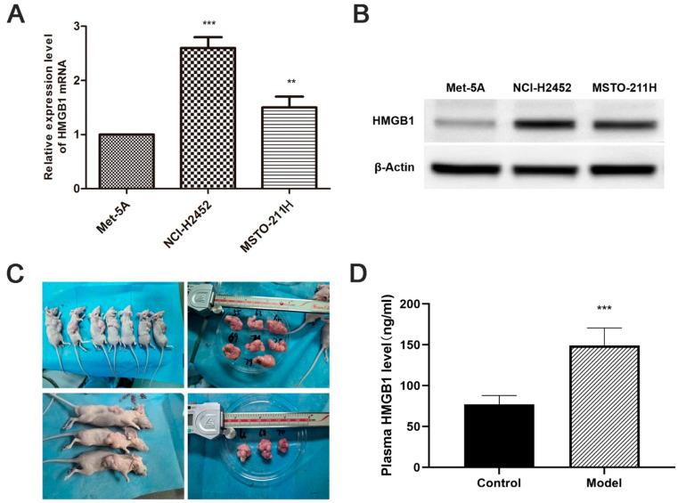 https://cdn.ncbi.nlm.nih.gov/pmc/blobs/3ee7/12197314/0c3db87011d6/toxics-13-00448-g001.jpg
