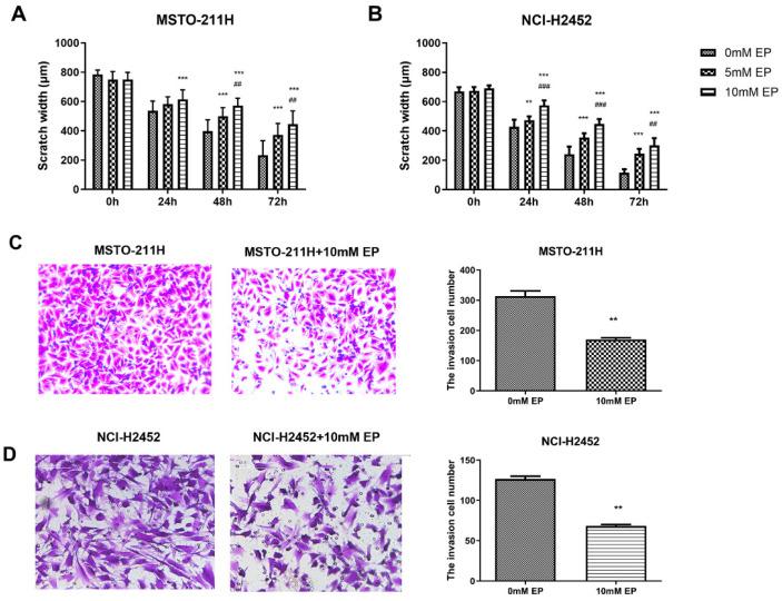 https://cdn.ncbi.nlm.nih.gov/pmc/blobs/3ee7/12197314/ac5474fae637/toxics-13-00448-g002.jpg