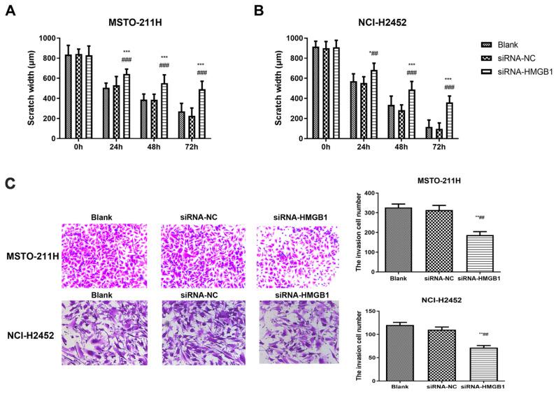 https://cdn.ncbi.nlm.nih.gov/pmc/blobs/3ee7/12197314/d4f275f5dea5/toxics-13-00448-g003.jpg