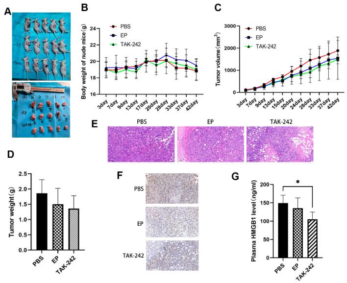 https://cdn.ncbi.nlm.nih.gov/pmc/blobs/3ee7/12197314/d8bece7340a4/toxics-13-00448-g006.jpg