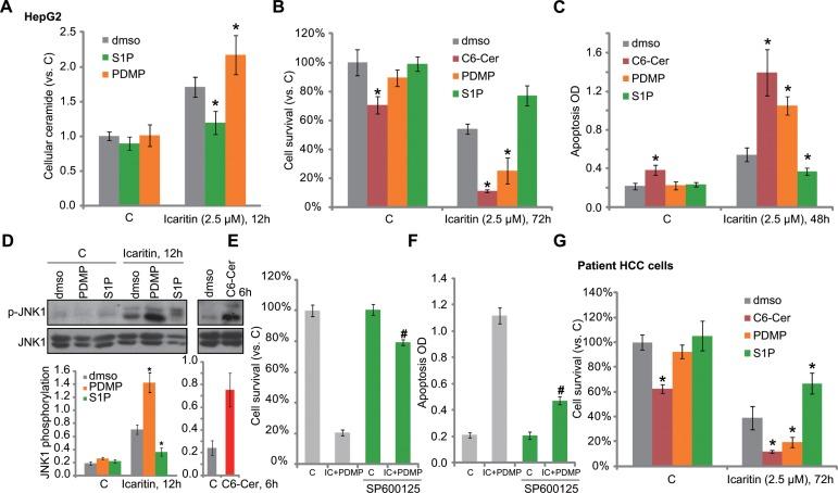 https://cdn.ncbi.nlm.nih.gov/pmc/blobs/3f08/5410263/4eb0549ed65f/oncotarget-08-22800-g003.jpg