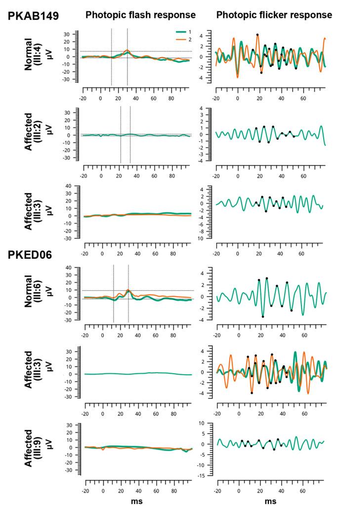 https://cdn.ncbi.nlm.nih.gov/pmc/blobs/3f0b/9031457/dd1a26ce1cc2/genes-13-00617-g003.jpg