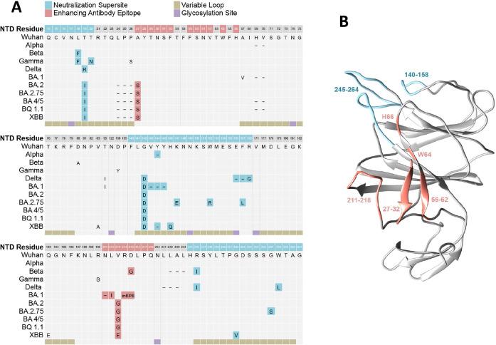 https://cdn.ncbi.nlm.nih.gov/pmc/blobs/3f14/11197847/25340b41a0e3/pai-9-001-g007.jpg
