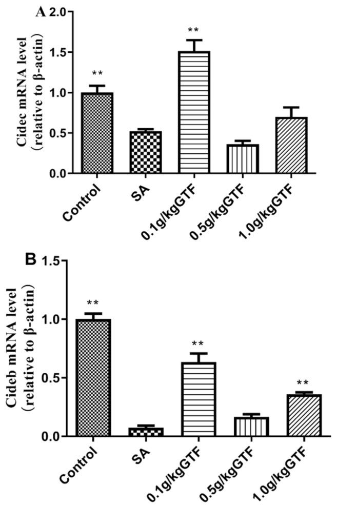 https://cdn.ncbi.nlm.nih.gov/pmc/blobs/3f1c/9686810/06647bf29a02/antibiotics-11-01648-g006.jpg