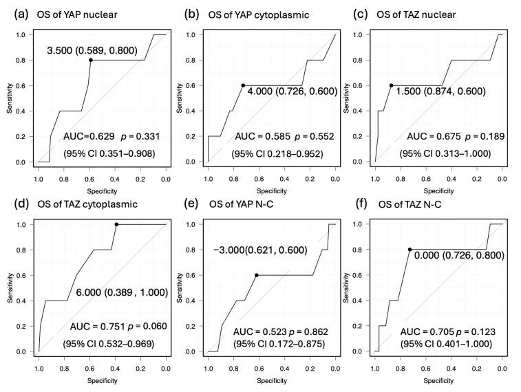https://cdn.ncbi.nlm.nih.gov/pmc/blobs/3f25/12345884/ae43e304a898/cancers-17-02554-g006.jpg