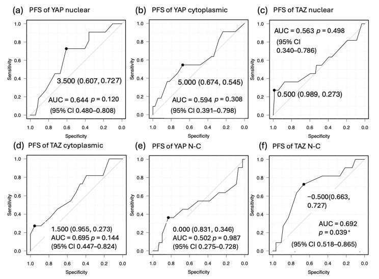 https://cdn.ncbi.nlm.nih.gov/pmc/blobs/3f25/12345884/cd676604eae0/cancers-17-02554-g005.jpg