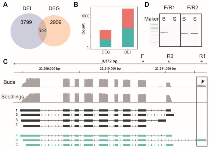 https://cdn.ncbi.nlm.nih.gov/pmc/blobs/3f42/7430643/41dcb3440a88/gkaa588fig6.jpg