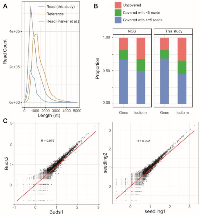 https://cdn.ncbi.nlm.nih.gov/pmc/blobs/3f42/7430643/be2c585bc058/gkaa588fig1.jpg