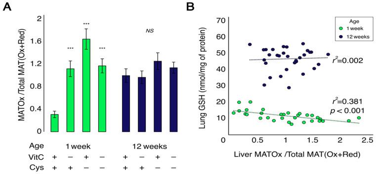 https://cdn.ncbi.nlm.nih.gov/pmc/blobs/3f58/10376486/3d4377d97794/antioxidants-12-01361-g006.jpg