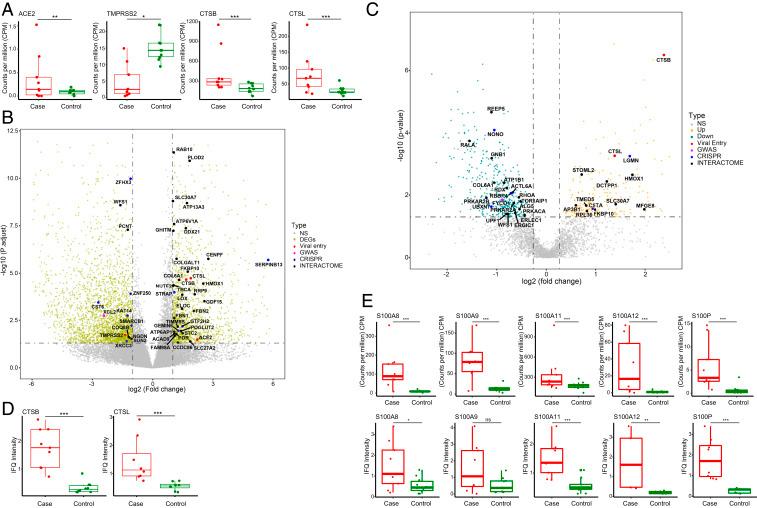 https://cdn.ncbi.nlm.nih.gov/pmc/blobs/3f59/7668053/55f0f9e8c639/pnas.2018030117fig04.jpg