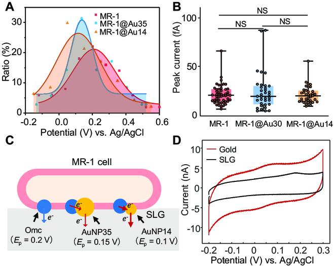https://cdn.ncbi.nlm.nih.gov/pmc/blobs/3f5b/10200910/1f44d092c085/research.0145.fig.006.jpg