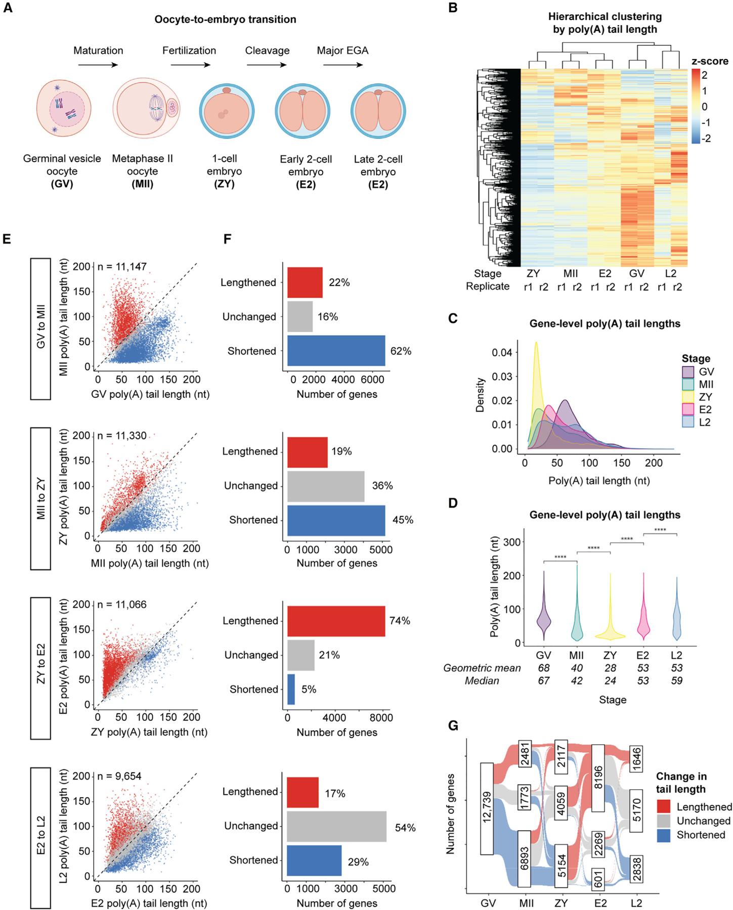 https://cdn.ncbi.nlm.nih.gov/pmc/blobs/3f5b/11034814/b464f5cf270b/nihms-1970869-f0002.jpg