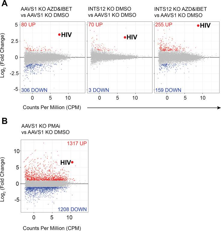 https://cdn.ncbi.nlm.nih.gov/pmc/blobs/3f66/11984954/45f40bde5971/elife-103064-fig4.jpg