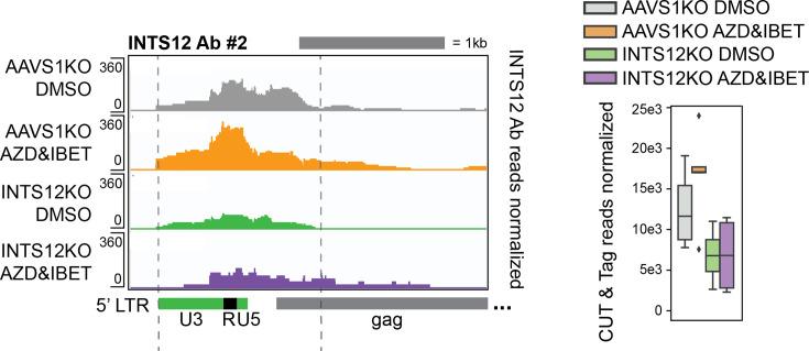 https://cdn.ncbi.nlm.nih.gov/pmc/blobs/3f66/11984954/707f861a9923/elife-103064-fig5-figsupp1.jpg