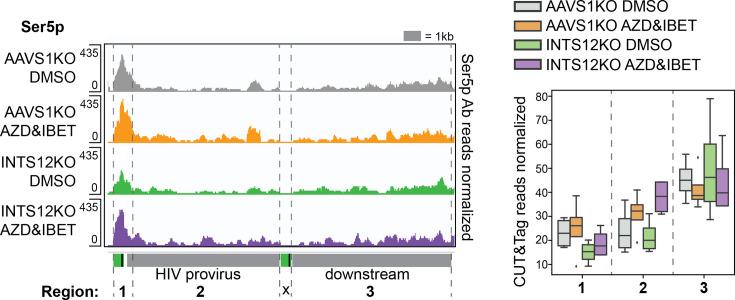 https://cdn.ncbi.nlm.nih.gov/pmc/blobs/3f66/11984954/91ab293e7180/elife-103064-fig5-figsupp2.jpg
