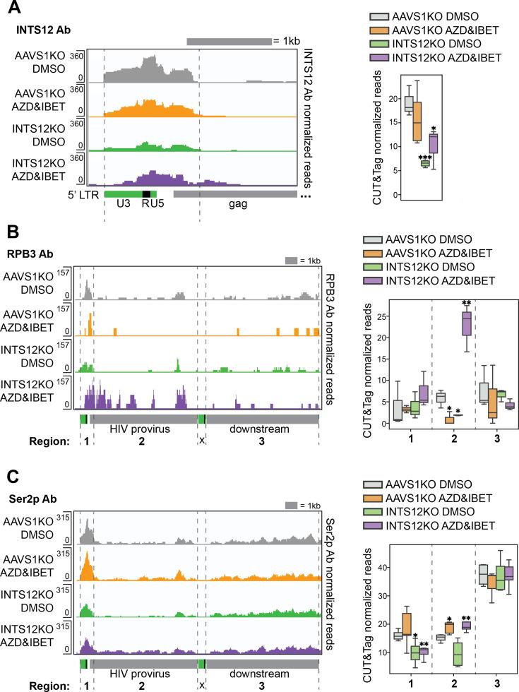 https://cdn.ncbi.nlm.nih.gov/pmc/blobs/3f66/11984954/e53695bba2a0/elife-103064-fig5.jpg