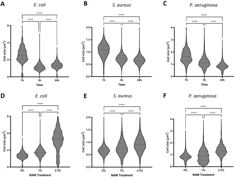 https://cdn.ncbi.nlm.nih.gov/pmc/blobs/3f6f/11356291/98e4534d9fc4/microorganisms-12-01581-g003.jpg