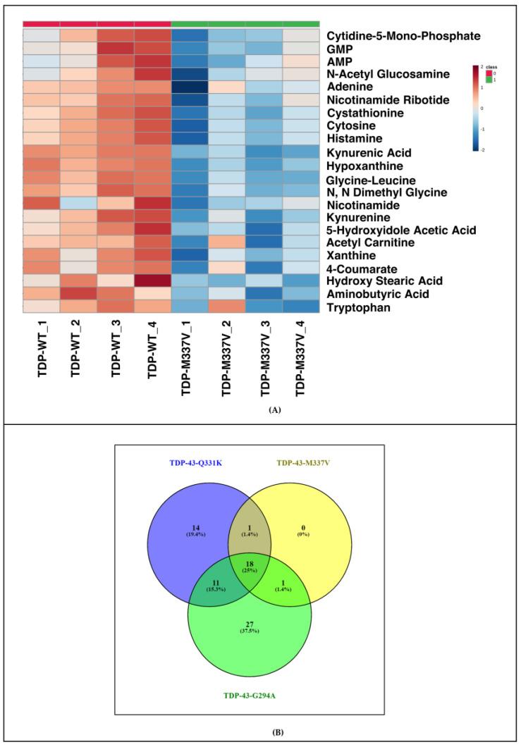 https://cdn.ncbi.nlm.nih.gov/pmc/blobs/3f79/10177613/356fd6d89863/cells-12-01228-g005.jpg