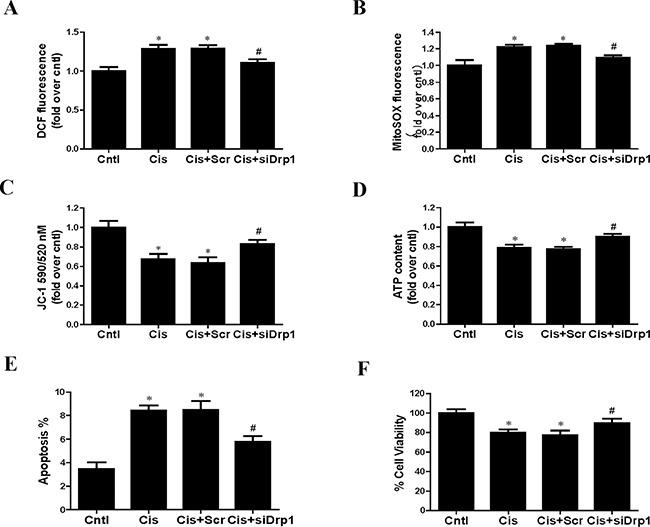 https://cdn.ncbi.nlm.nih.gov/pmc/blobs/3f7e/5400560/75d7357061bd/oncotarget-08-20988-g010.jpg