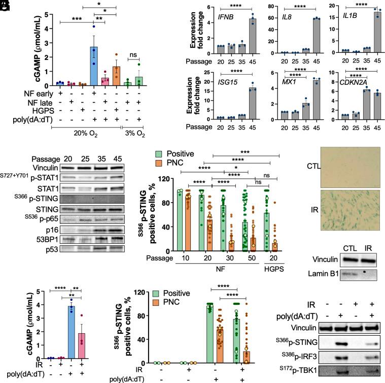 https://cdn.ncbi.nlm.nih.gov/pmc/blobs/3f81/12280946/8aaab9d3612a/pnas.2424666122fig02.jpg