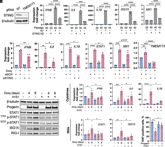 https://cdn.ncbi.nlm.nih.gov/pmc/blobs/3f81/12280946/a8c369c3cef2/pnas.2424666122fig03.jpg