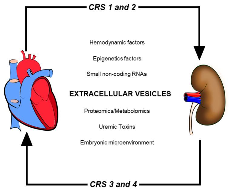 https://cdn.ncbi.nlm.nih.gov/pmc/blobs/3f91/8618757/803c98350784/toxins-13-00778-g002.jpg