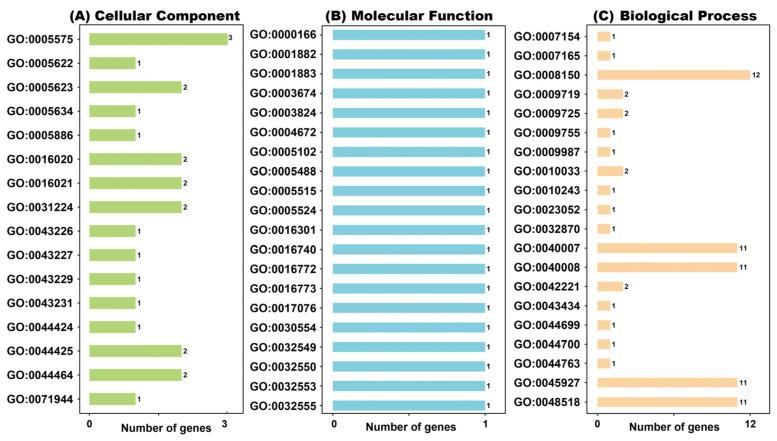 https://cdn.ncbi.nlm.nih.gov/pmc/blobs/3fa5/10815606/505e9f8af1c0/ijms-25-00929-g008.jpg
