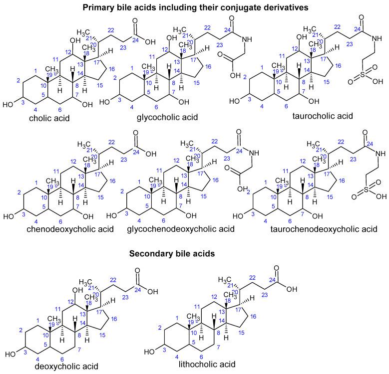 https://cdn.ncbi.nlm.nih.gov/pmc/blobs/3fb1/11643520/fe1ee1af9925/nutrients-16-03996-g002.jpg