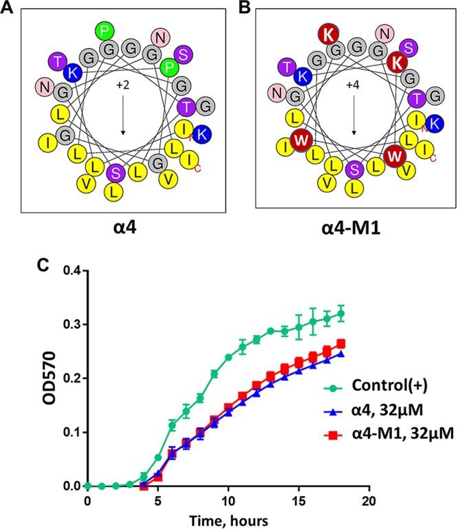 https://cdn.ncbi.nlm.nih.gov/pmc/blobs/3fbf/6456746/1ae503540875/mBio.00226-19-f0001.jpg
