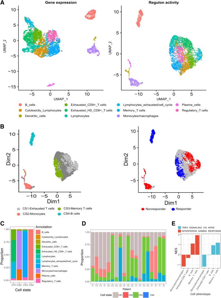 https://cdn.ncbi.nlm.nih.gov/pmc/blobs/3fd5/10398358/0552c2fac2c1/1125fig1.jpg